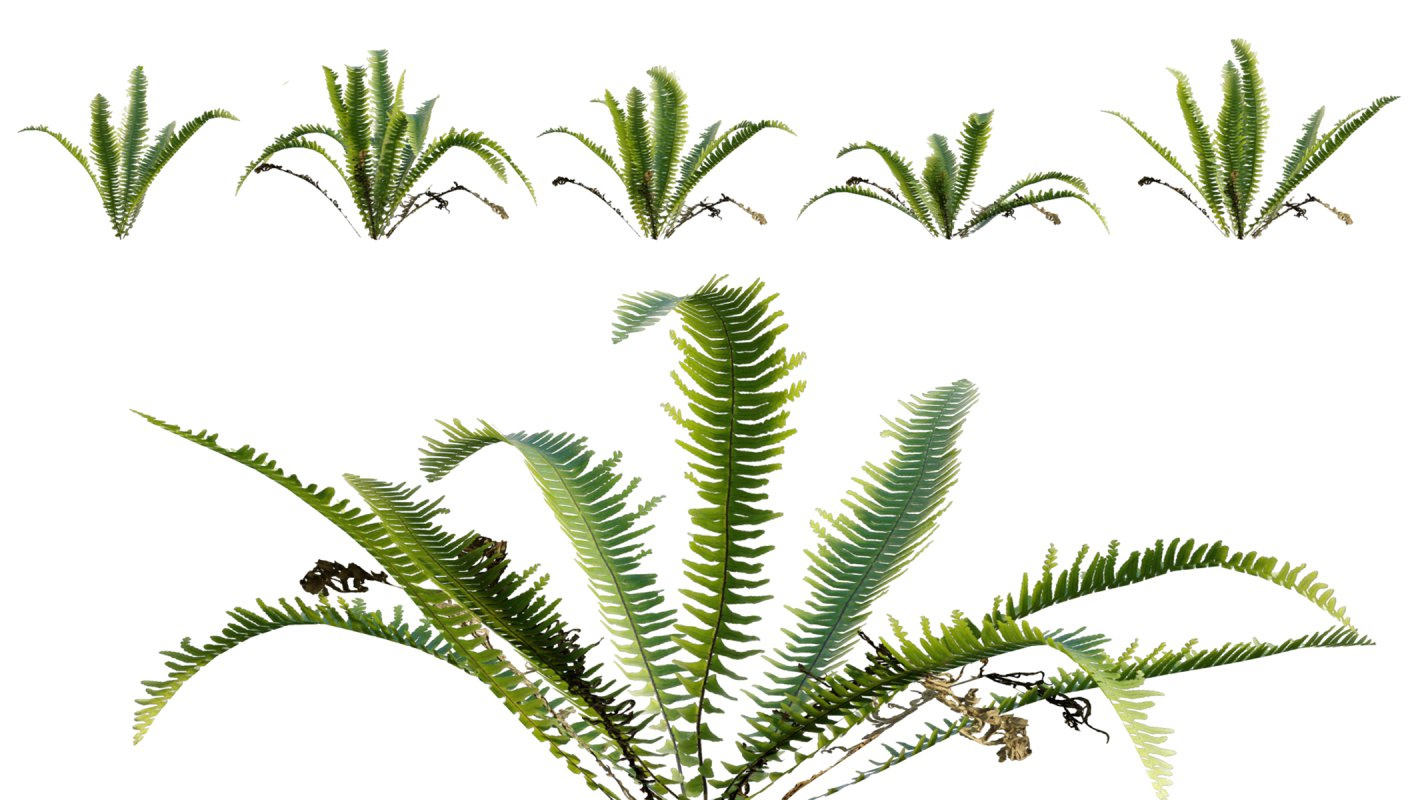 Collection 06 – Japanese Garden - Image 20