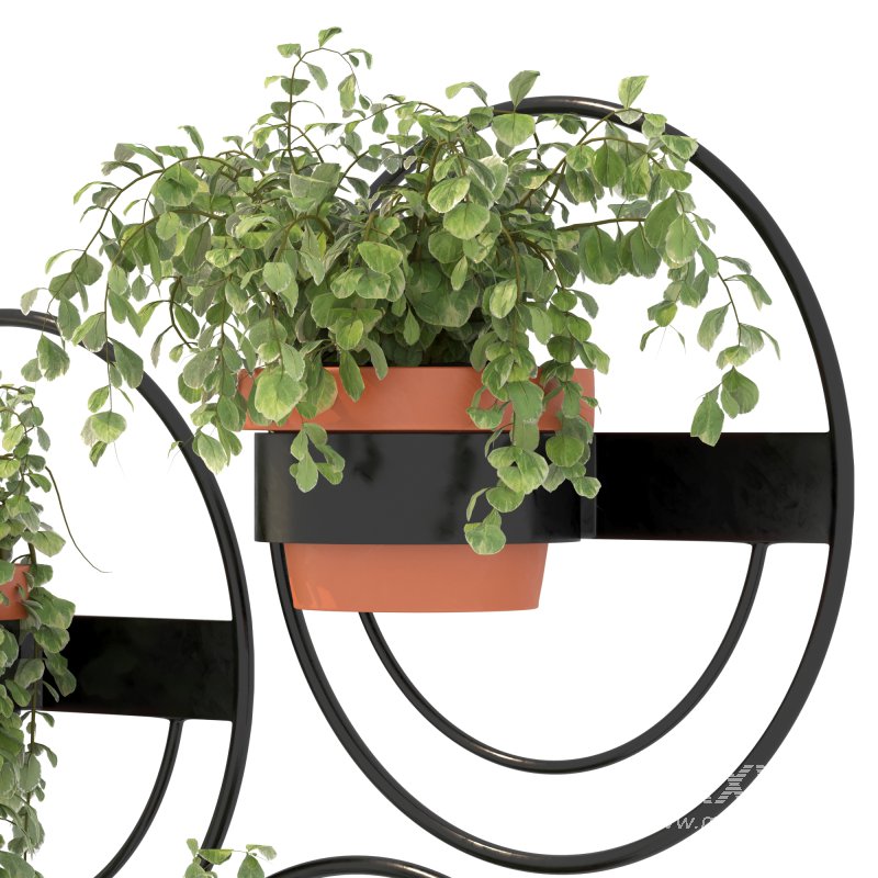 Modern Wall Planters With Geometric Designs - Image 6