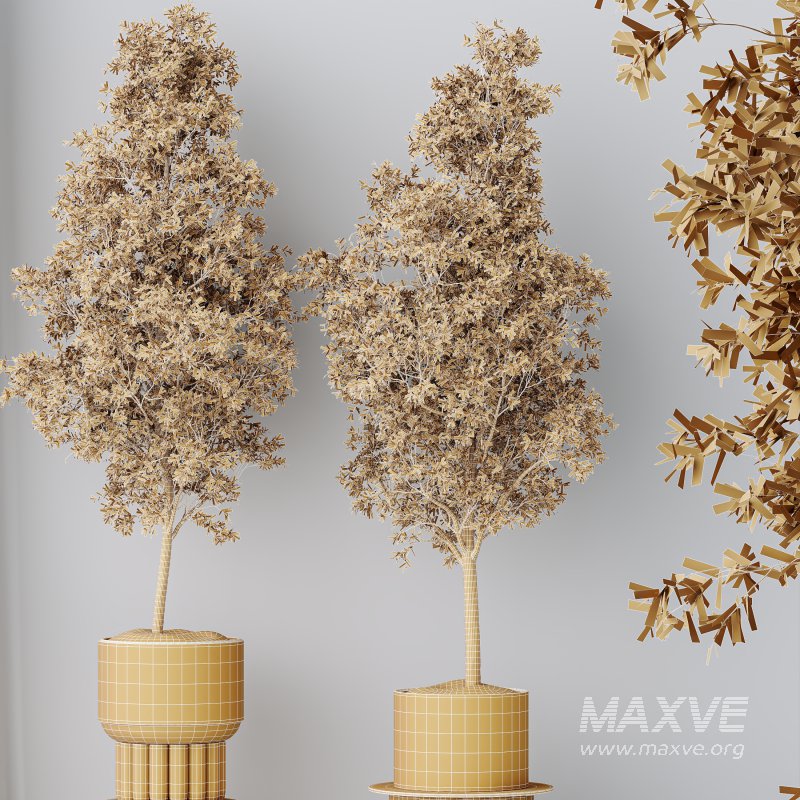 AV Indoor Plants Set 332 Swiss Cheese and Mission Olive and nucifera Coconut Palm - Image 7