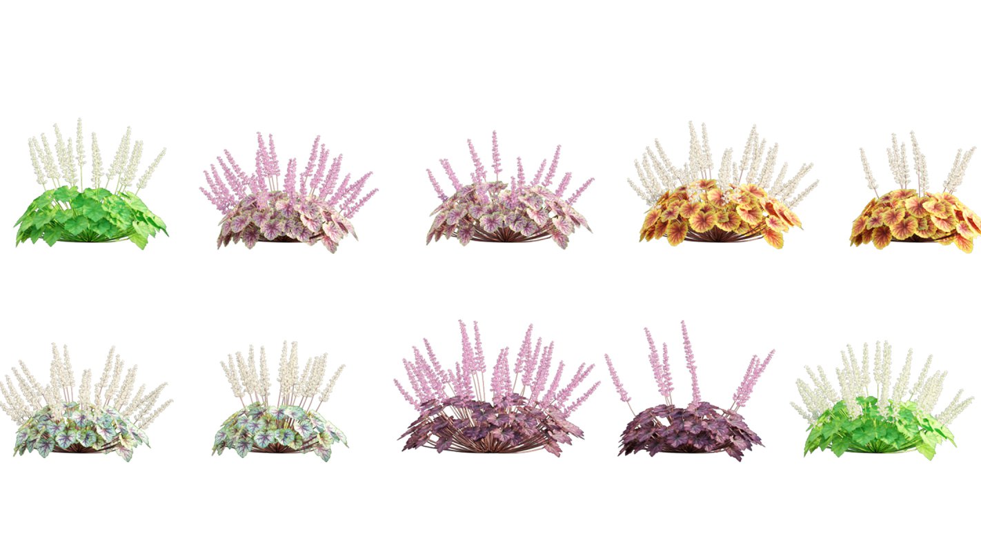 Collection 05 – Flower Garden - Image 7