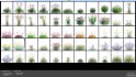 Collection 05 – Flower Garden - Thumbnail 12