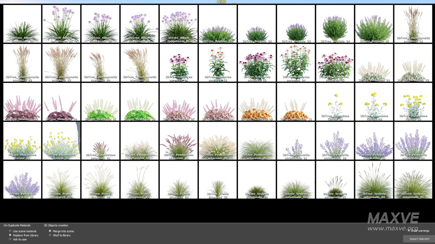 Collection 05 – Flower Garden - Image 12