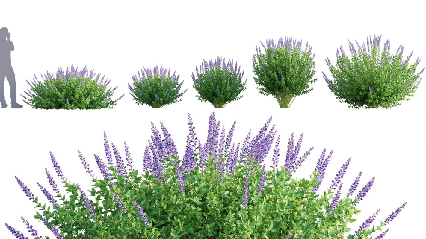 Collection 05 – Flower Garden - Image 3