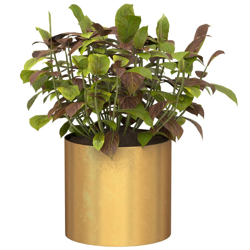 Metal Plant Set 05 - Image 8