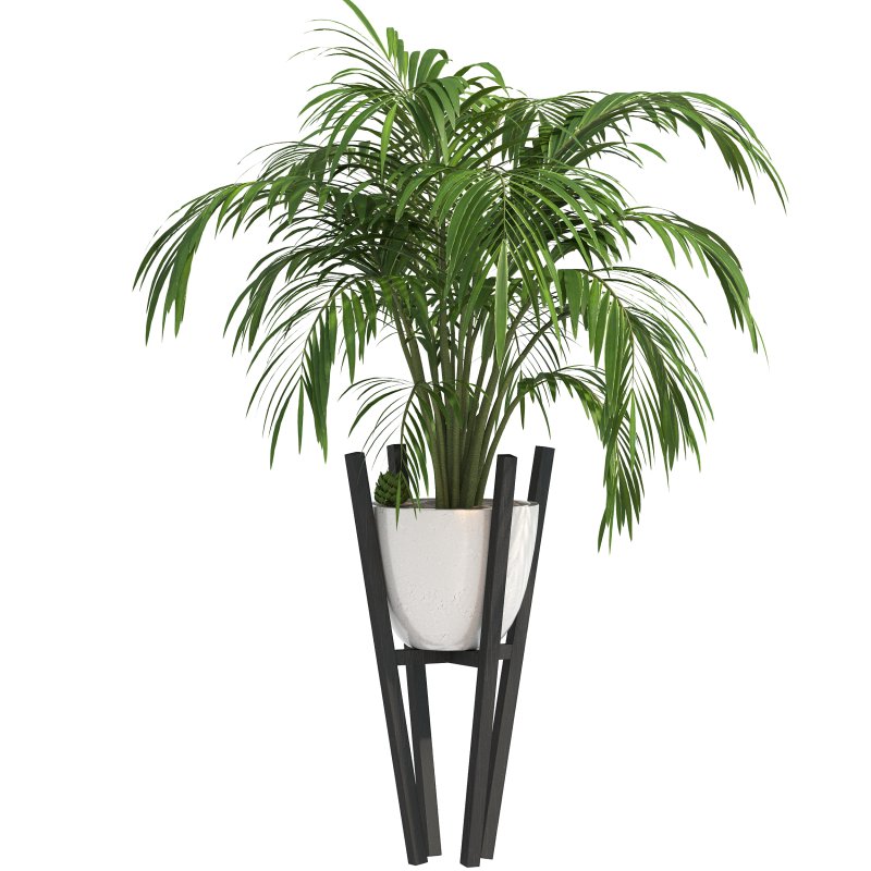 Stone Pot Plant Set - Image 2