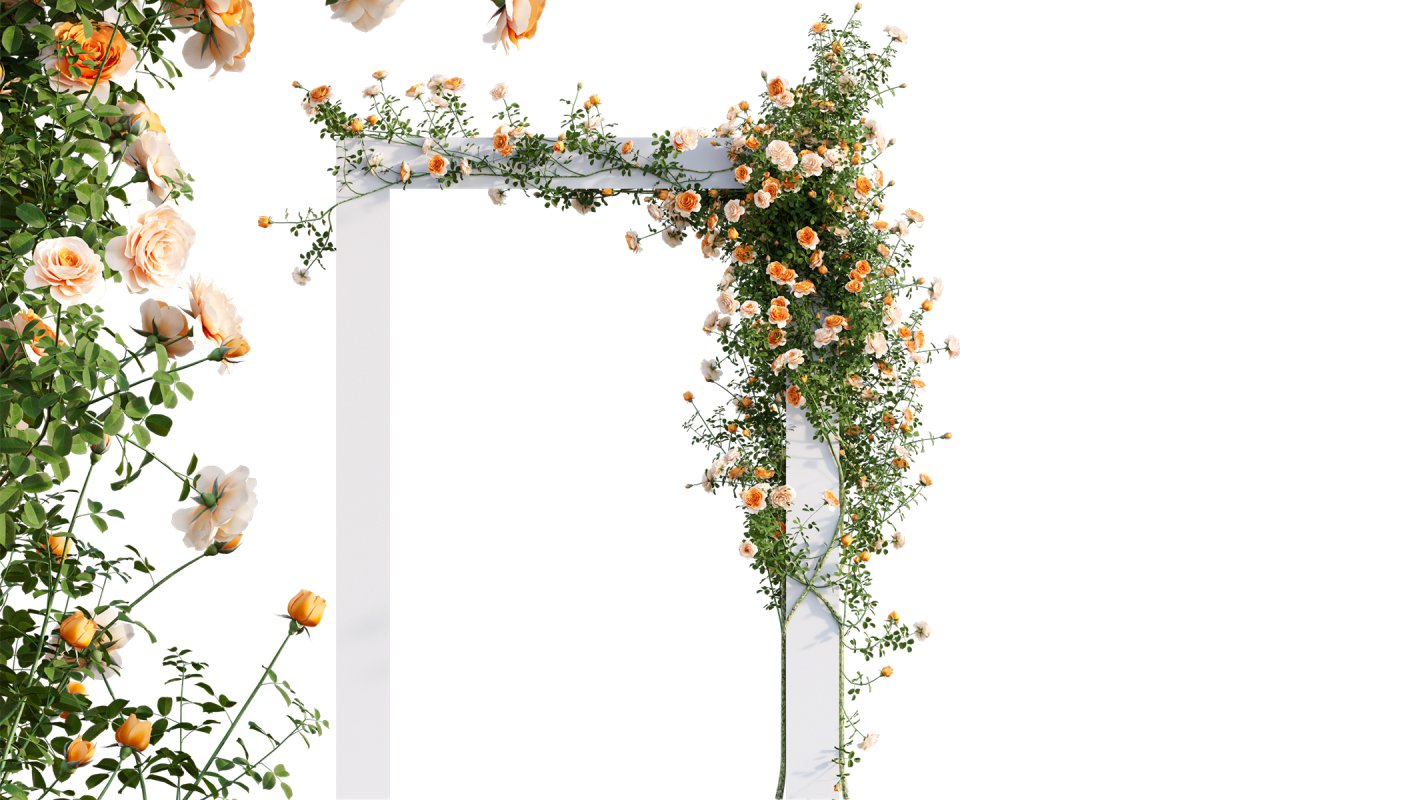 Collection 08 – Rose Garden - Image 40