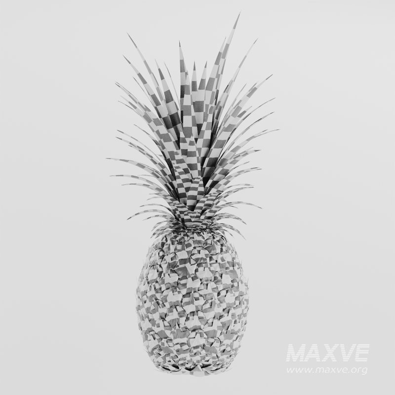 Ananas - Image 4