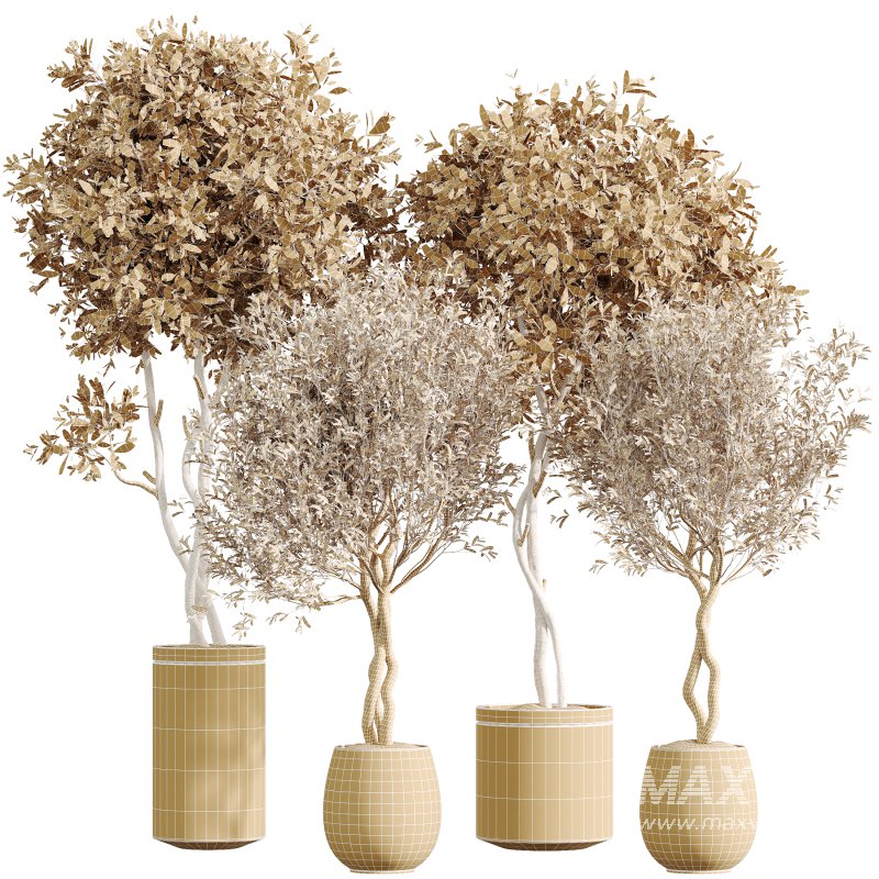 AV Indoor Plants Set 323 Olive Artificial Tree - Image 5