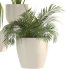 Plant Set 10 - Thumbnail 2
