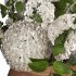Bouquet with Hydrangeas Set - Thumbnail 5