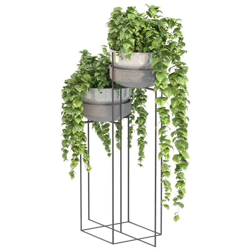 Metal Standing With Money Plant - Image 5