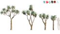 Collection 12 – Desert Garden - Thumbnail 14