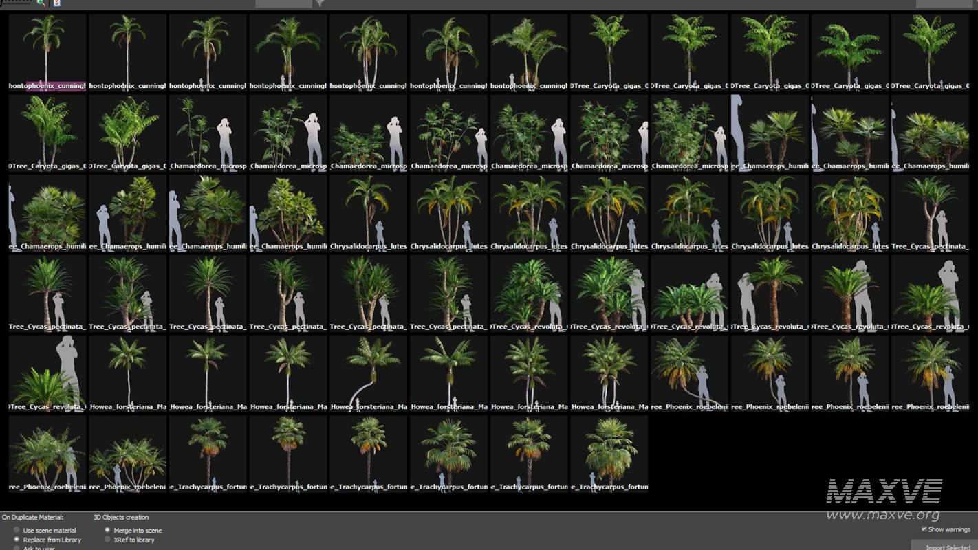 Collection 10 – Palm garden - Image 4