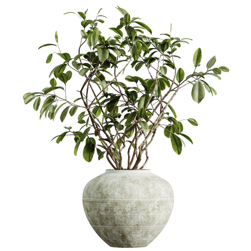 AV Indoor Plants Set 321 Japandi Decorative Minimalism Ficus Dracaena Marginata - Image 7