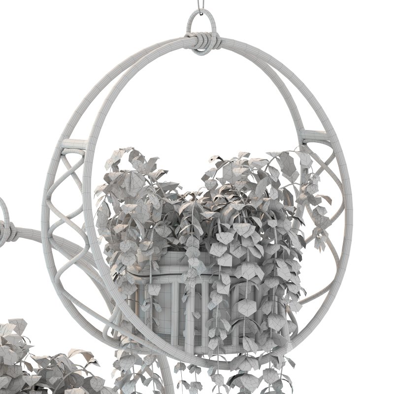 Boho Hanging Plants 05 - Image 4