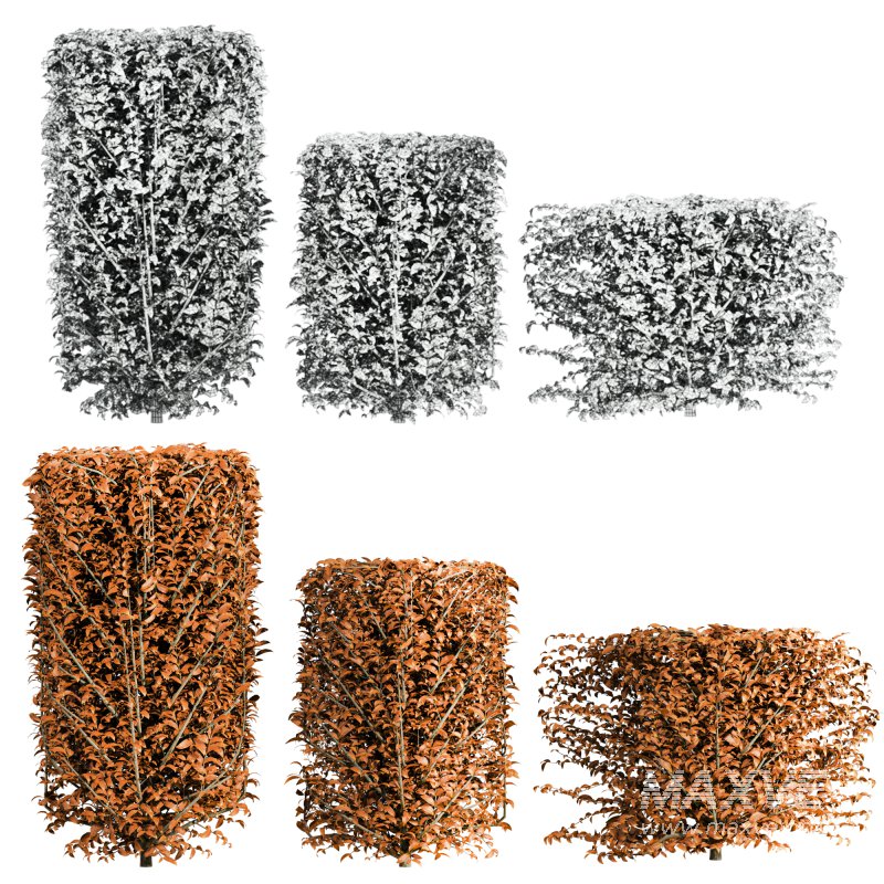 Autumn Bush Plants Set - Image 4