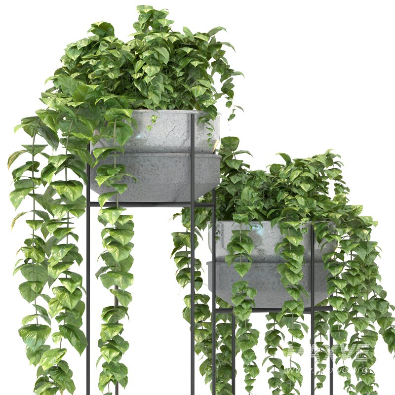 Metal Standing With Money Plant - Image 8