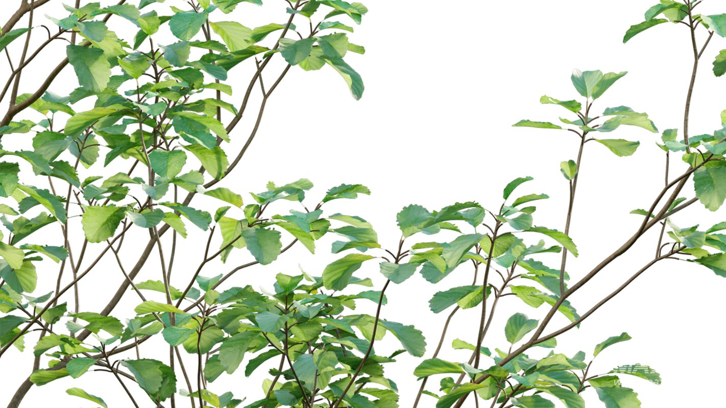 Collection 14 – English Garden - Image 7