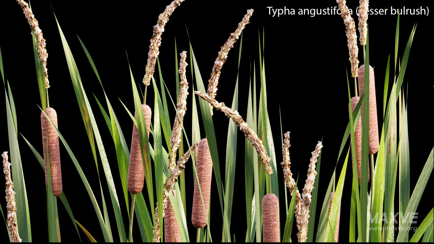 Collection 14 – English Garden - Image 42