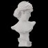 Neoclassical Woman Marble Bust - Thumbnail 6
