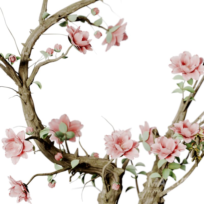 Bouquet R10 - Image 2