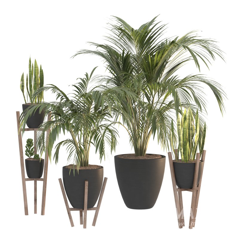 Black Metal Plant Set - Image 6