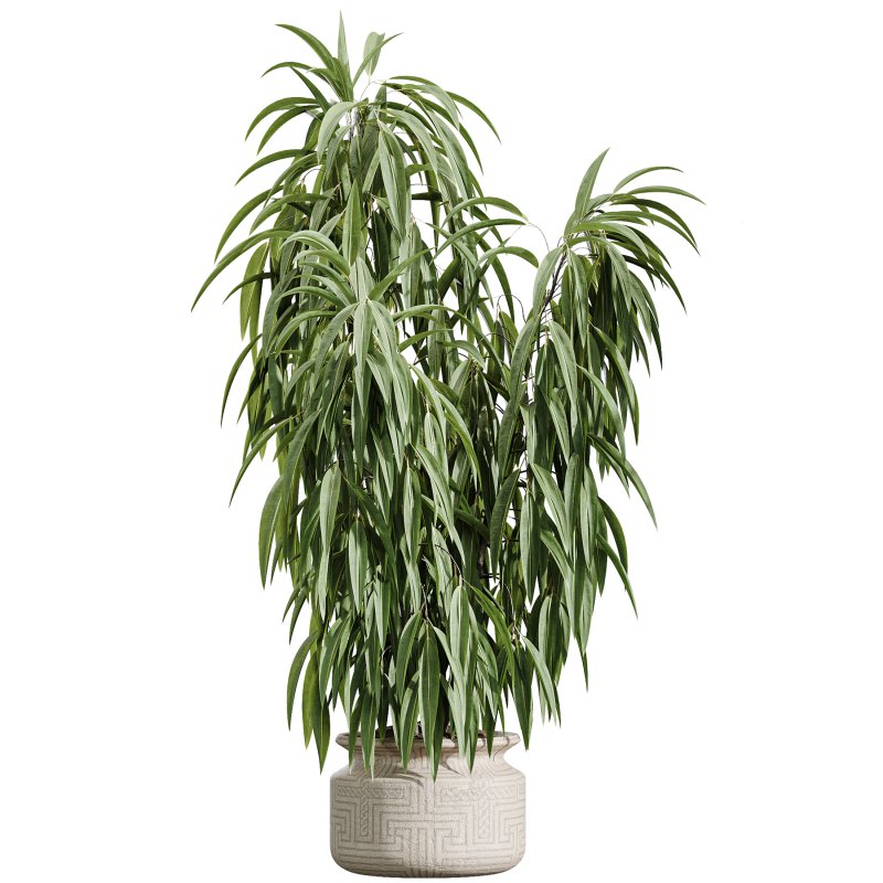 AV Indoor Plants Set 393 Spathiphyllum Wallisii and Ficus Binnendijki and Schefflera Arboricola and Japandi Decorative - Image 6