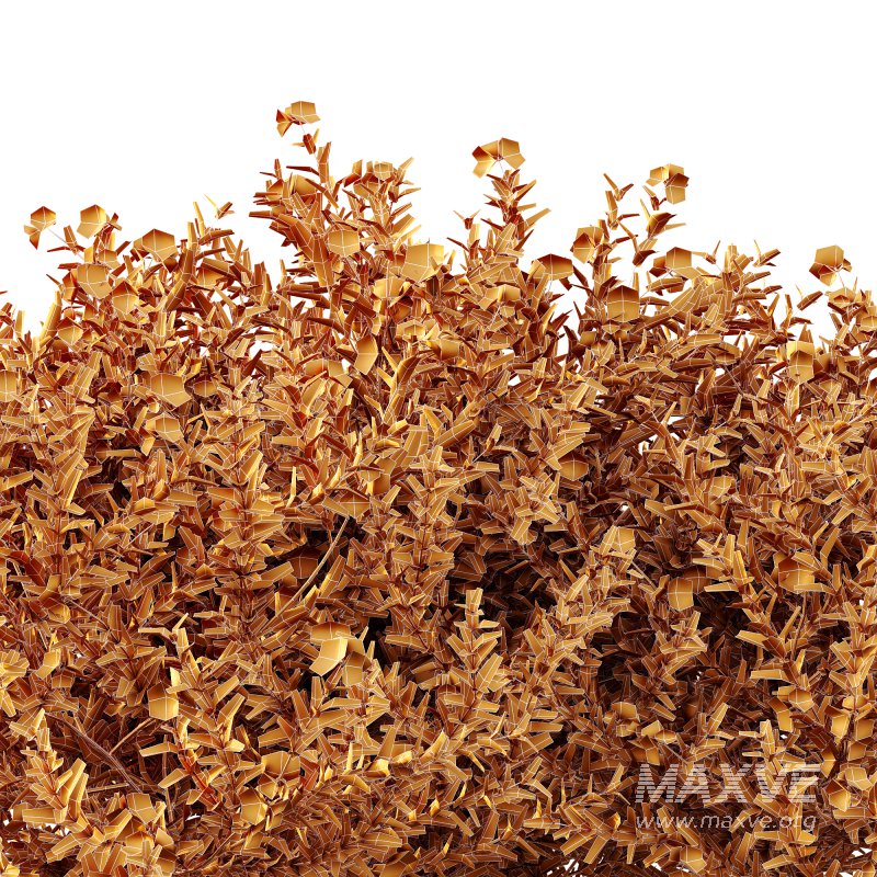 ntal shrubs that capture the natural charm and density of this iconic Australian plant. Perfectly suited for realistic landscape and architectural rendering. - Image 9