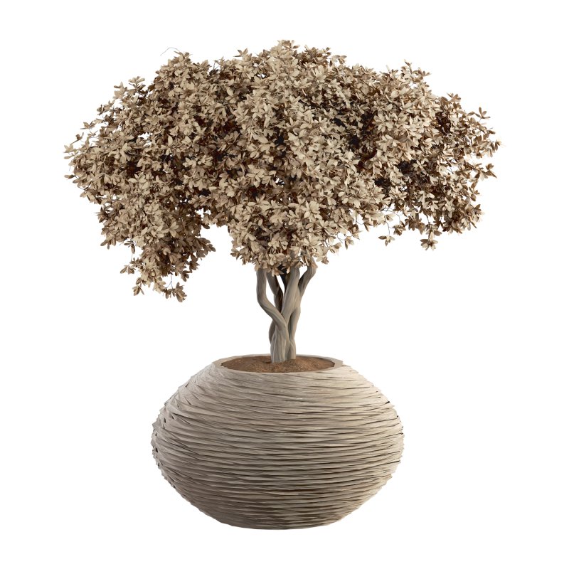 Indoor Plant Set 030 - Image 4