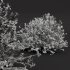 ntal shrubs, designed with botanical precision for photorealistic exterior rendering. - Thumbnail 9