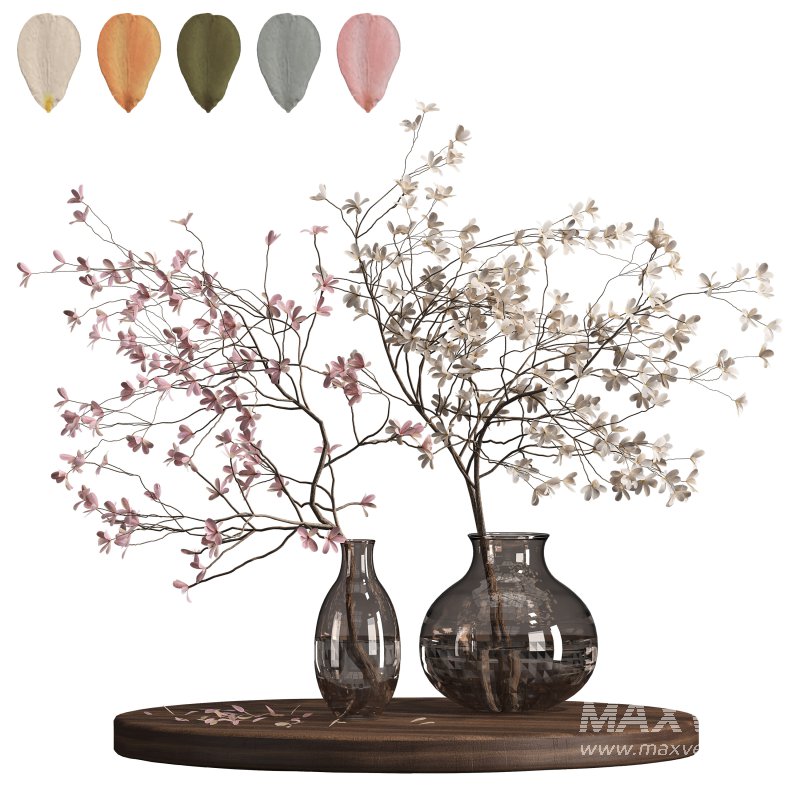 Indoor plant 075 - Image 2