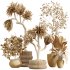 AV Indoor Plants Set 395 Yucca Elephantipes and Briful Pachira and Ficus Elastica and Japandi Decorative - Thumbnail 9