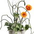 bouquet - Thumbnail 2