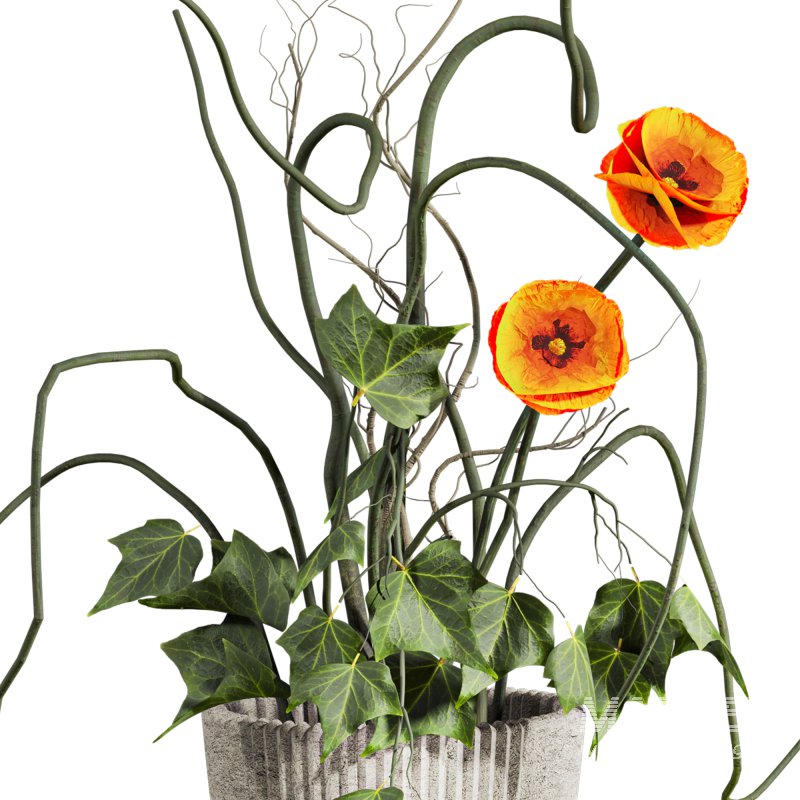 bouquet - Image 2