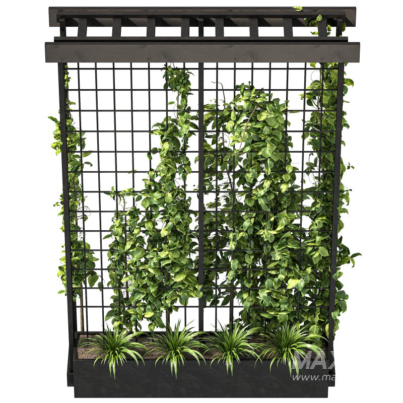 Vertical Garden Trellis 02 - Image 6