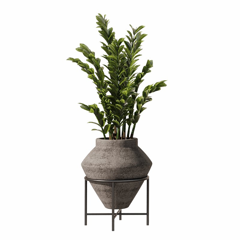 Indoor Plants Set 101 - Image 2