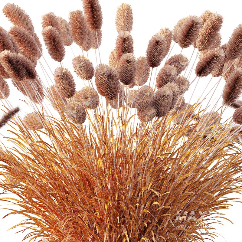 ntal fountain grass, designed for realistic exterior and landscape visualizations. - Image 10