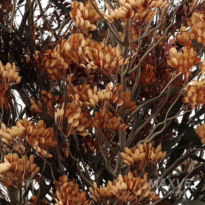 Bouquet of flowers set 008 - Image 2