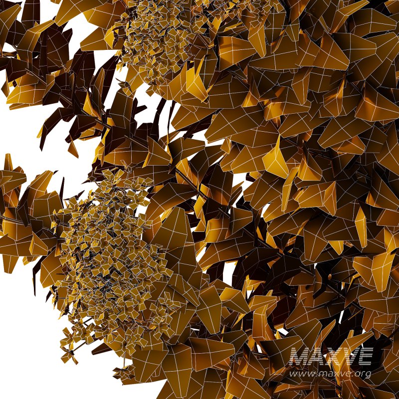 Spirea Japonica Bush 08 - Image 4