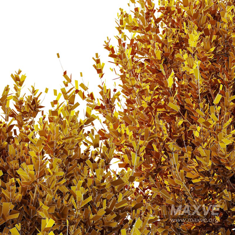 ntal olive shrubs, designed for realistic garden visualization and architectural landscaping. - Image 14