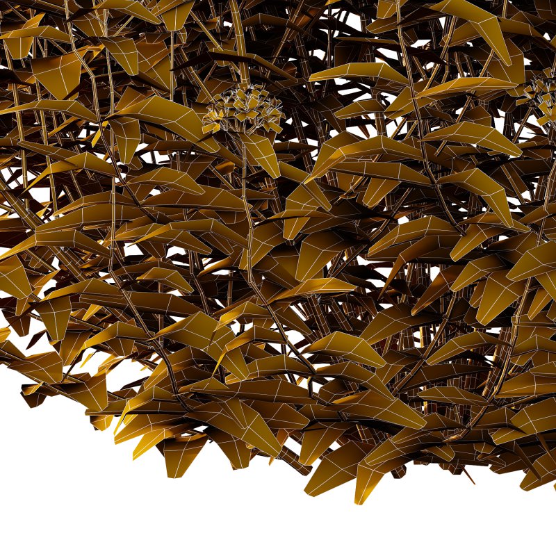 Spirea Japonica Bush 03 - Image 4