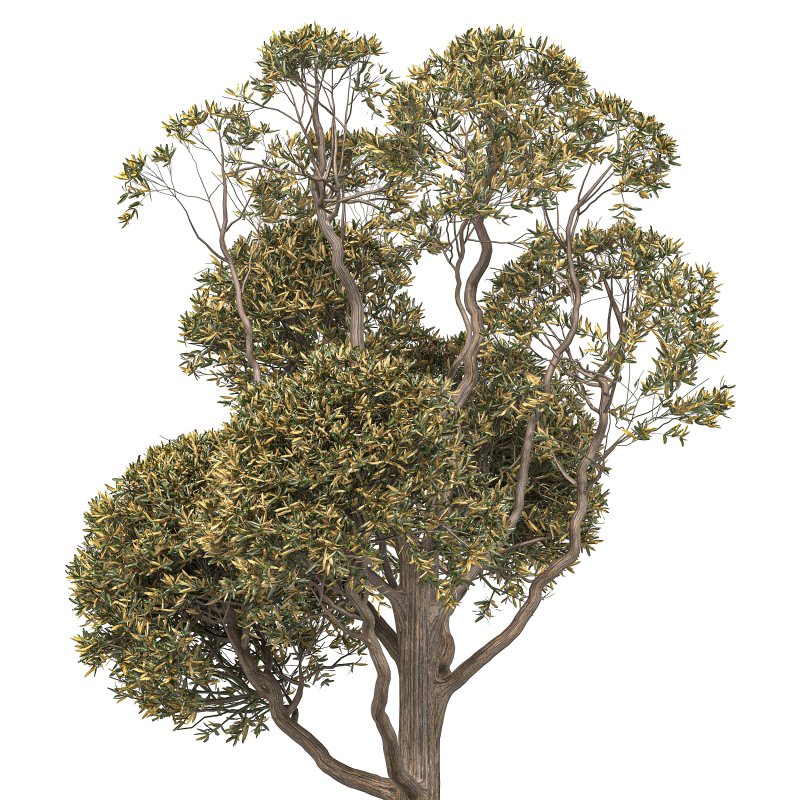 Urban Furniture 12 - Image 7