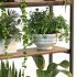Metal Stand & Wooden Shelf Plant - Thumbnail 7