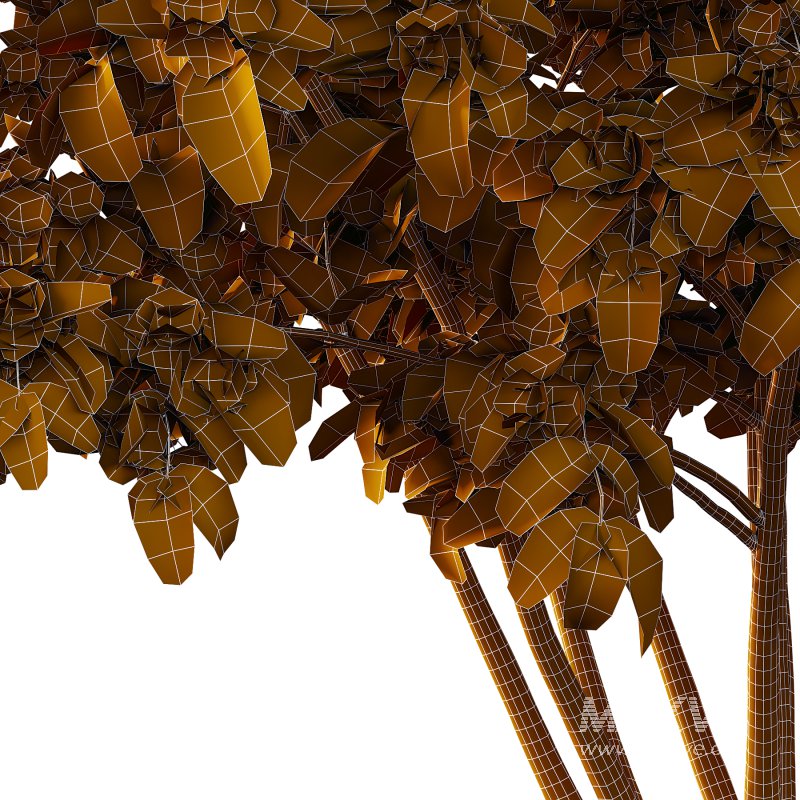 Philadelphia Bush 04 - Image 1