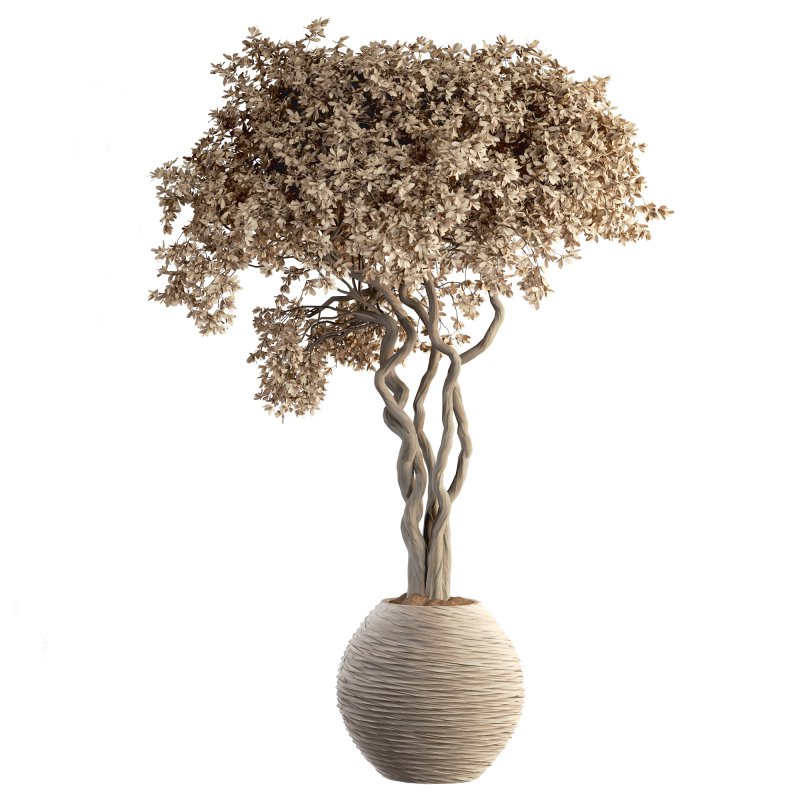 Indoor Plant Set 030 - Image 2