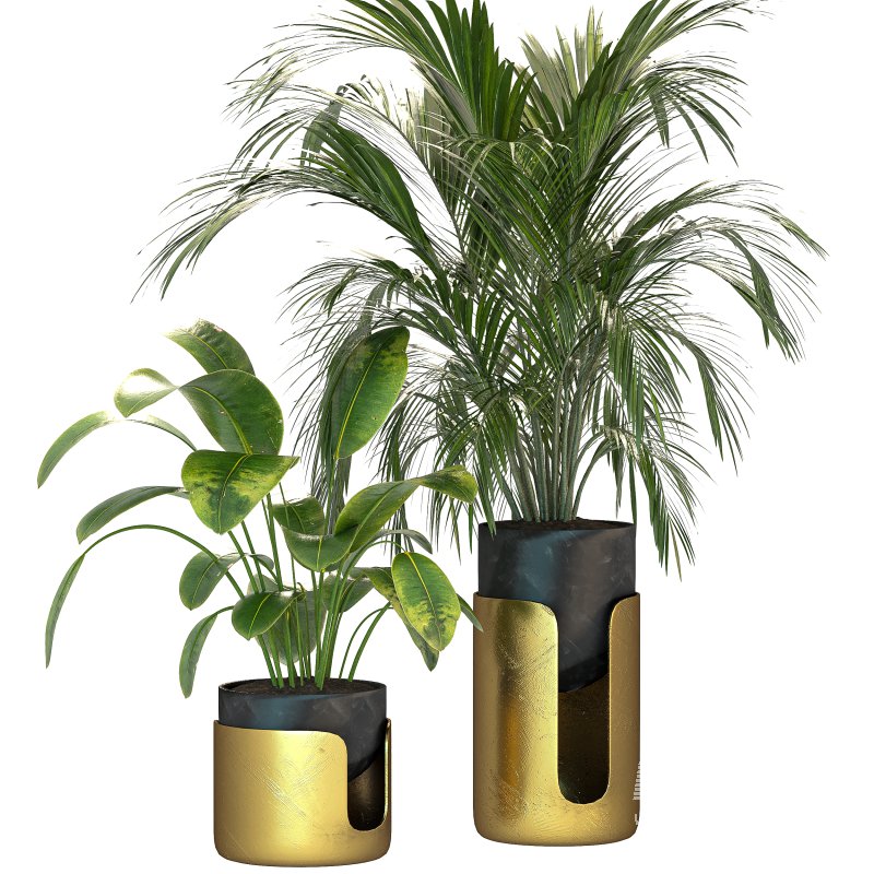 Plant Set 12 - Image 4