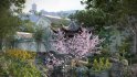 Collection 18 – Chinese garden - Thumbnail 1