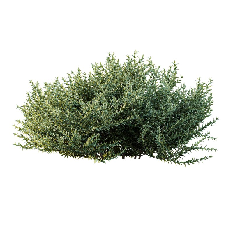 ntal evergreen shrubs, designed with exceptional precision for architectural visualization and landscape rendering. - Image 3