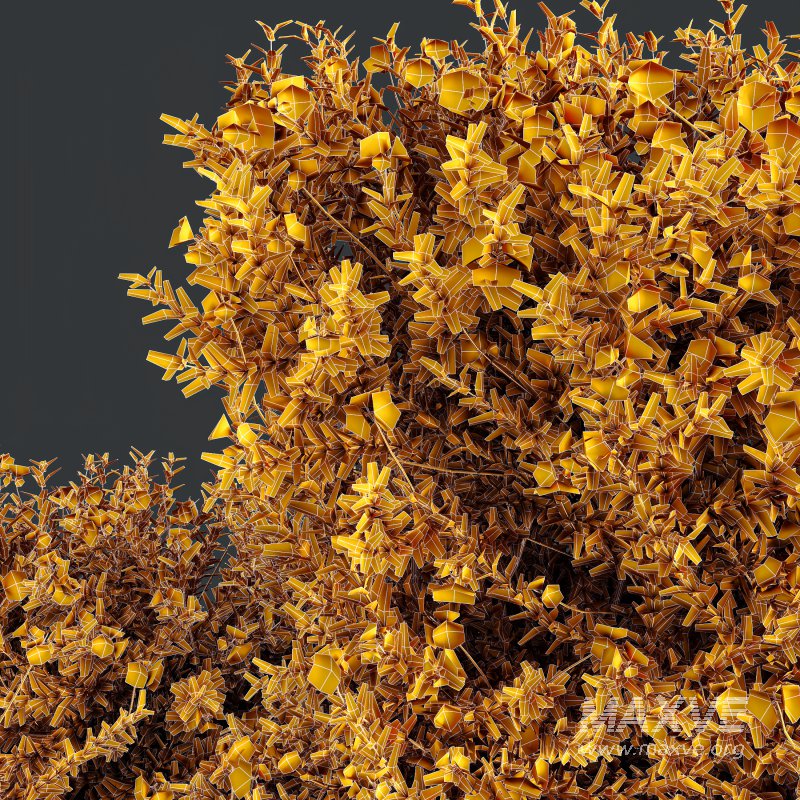 ntal shrubs that capture the natural charm and density of this iconic Australian plant. Perfectly suited for realistic landscape and architectural rendering. - Image 11