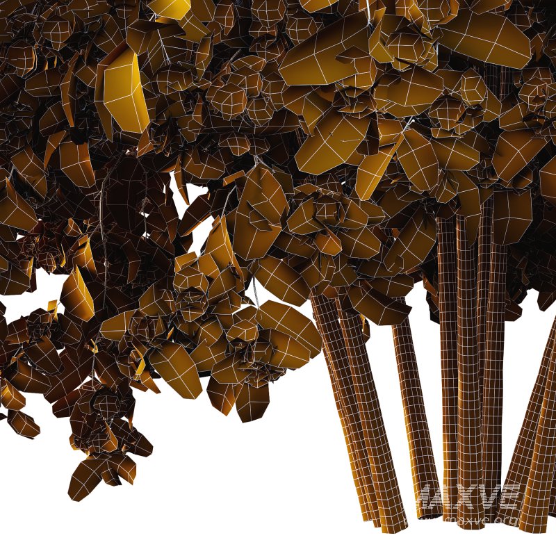 Philadelphia Bush 05 - Image 2